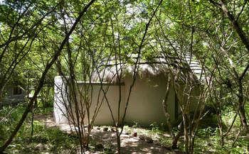 קסנה Bakwena Lodge מראה חיצוני תמונה
